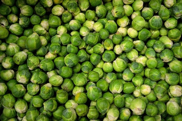 brussel sprouts history