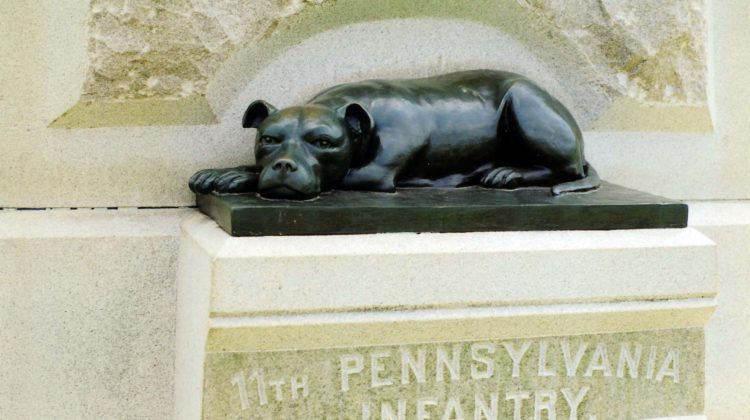 civil war dog sallie ann jarret statue